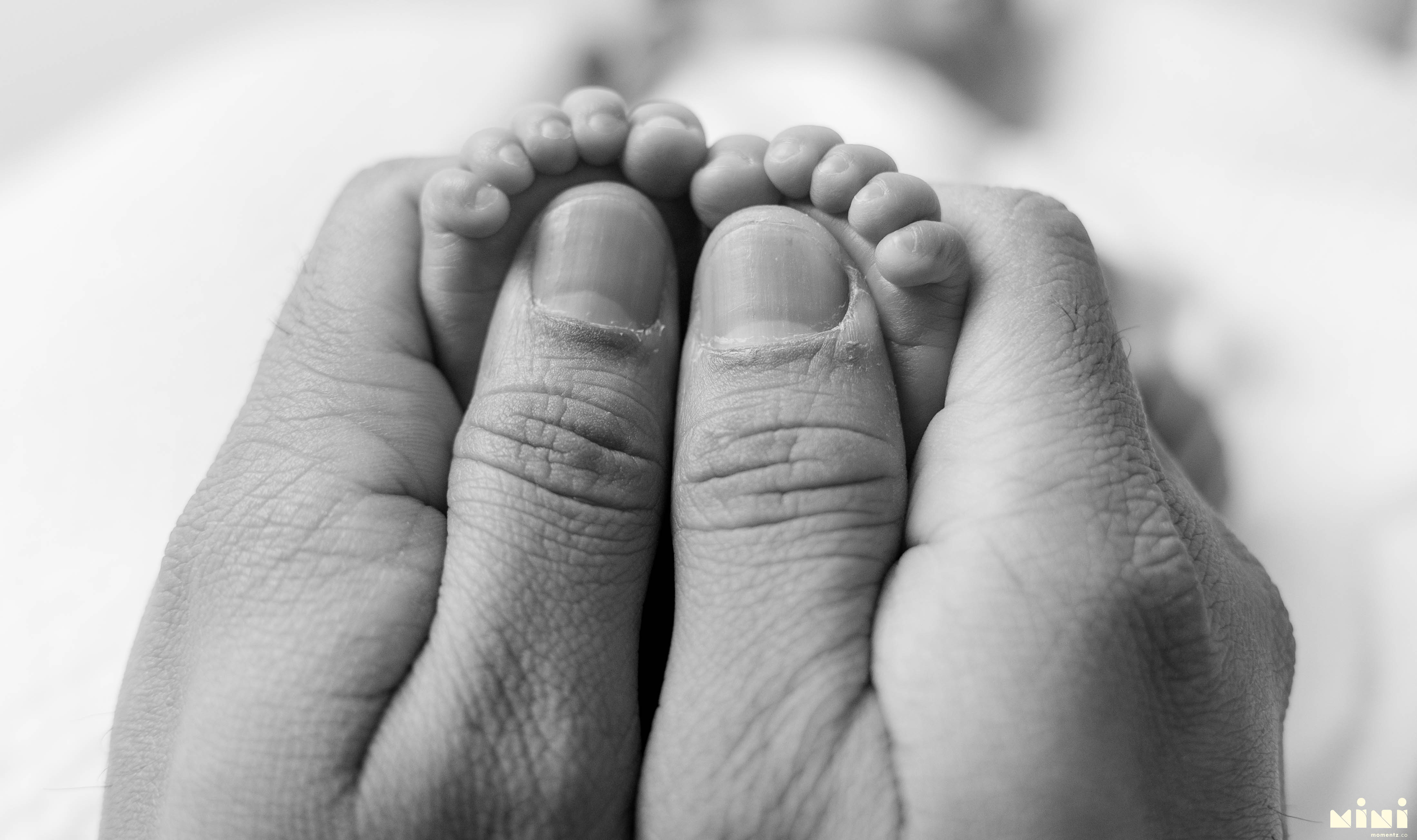 Newborn baby's tiny feet resting in parent's hands — black and white detail photograph from the MiniMomentz newborn session in Edinburgh